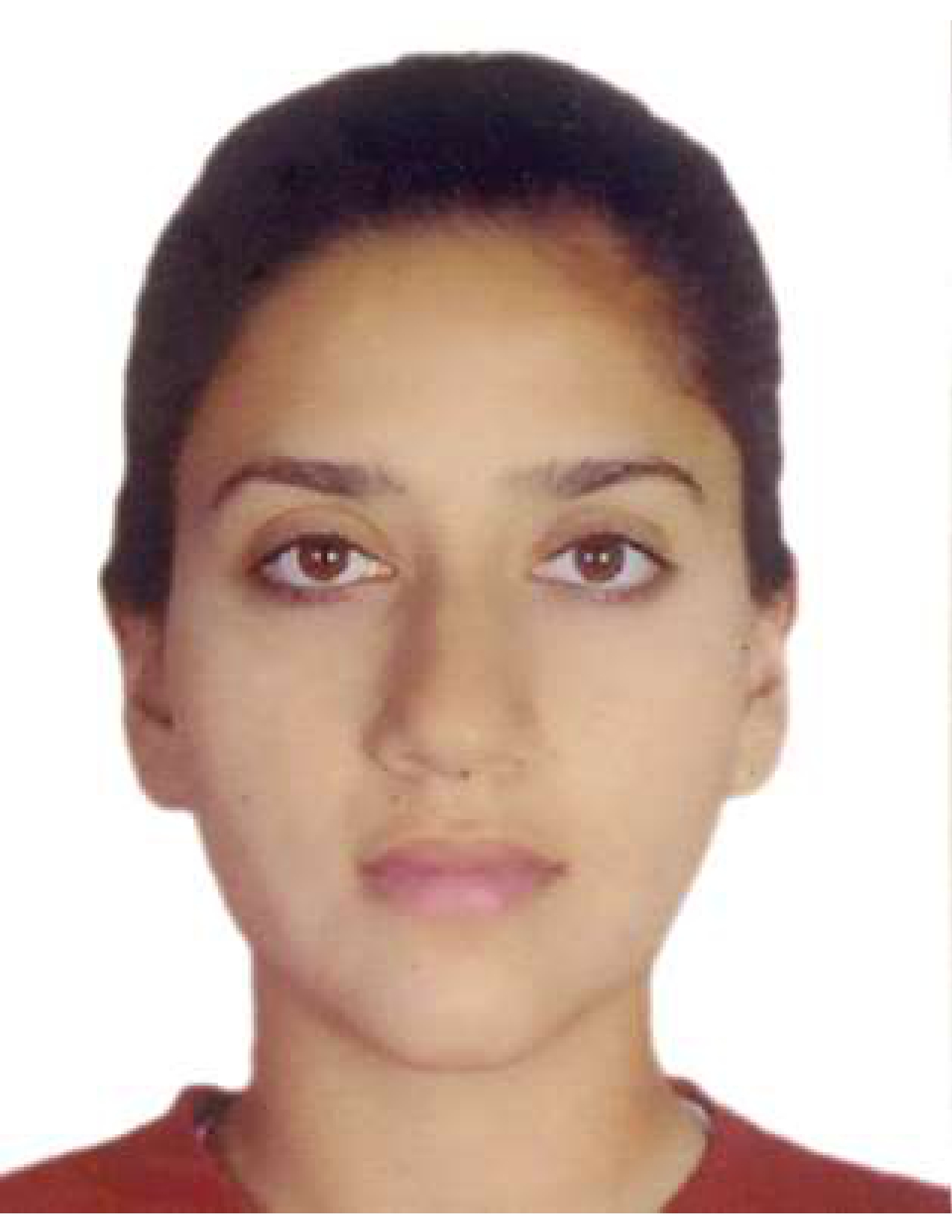 Player Profile